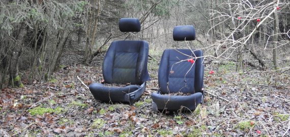 Seimas svarstys siūlymą konfiskuoti automobilius, kuriais atvežta šiukšlių į pamiškes