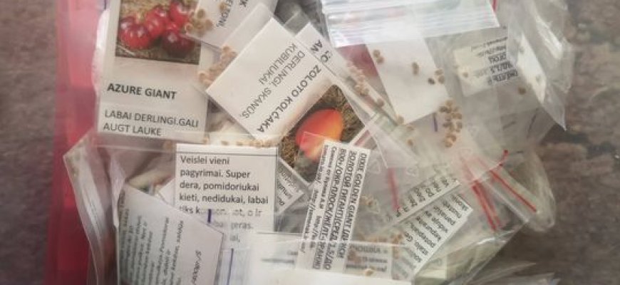 Pomidorų sezono belaukiant: ką sėsime šiemet?