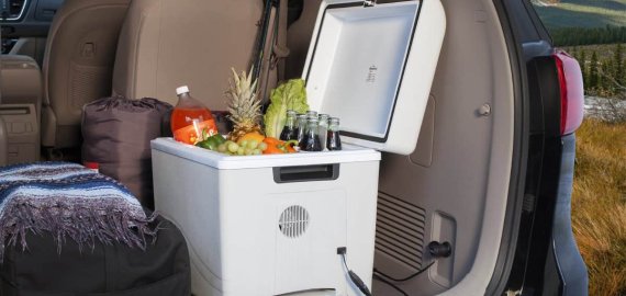 Kaip išsirinkti tinkamą automobilio šaldytuvą?