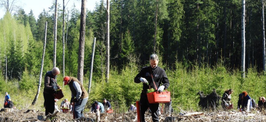Artėja Nacionalinis miškasodis: visuomenės poreikis ir dalyvių požiūris?