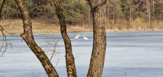 Rokiškio mieste gražėja erdvės, bet kai kurių permainų teks palaukti