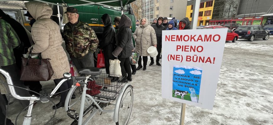 Pieno dalybos Rokiškyje: per tris dienas „išgertos“ keturios tonos (foto)