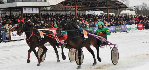 Žiūrovus džiugins 7 bėgimai, o sportininkus – 17 600 eurų prizinis fondas