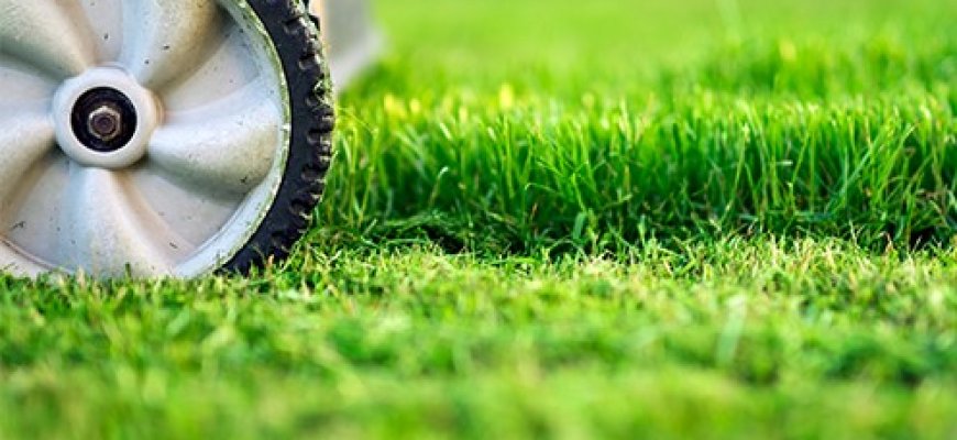 Internetu sodo techniką išsirinksite greičiau ir paprasčiau