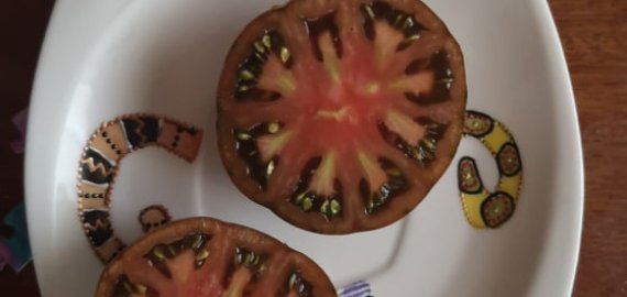Nepavykęs eksperimentas įrodė: hibridų veisti negalima