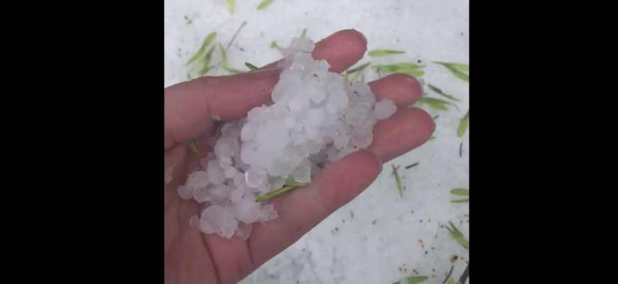 Gamta nesiliauja stebinusi: liepos 7-ąją Onuškio gyventojai stebėjosi pusnimis (video)