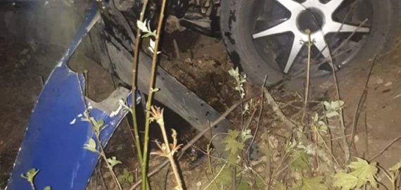 Girtutėlis vairuotojas rėžėsi į medį (foto)