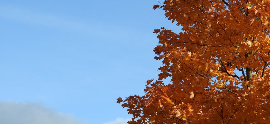 Šiluma pasieks rekordą: temperatūra kils net iki 22 laipsnių