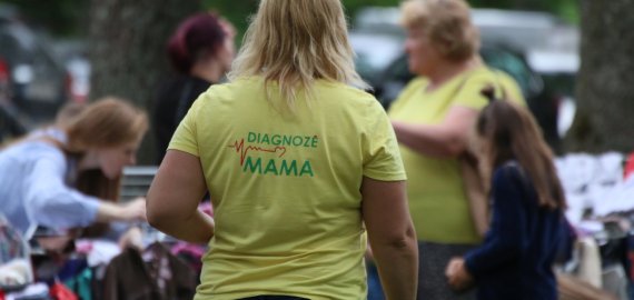Birželio 20 dieną - Mamyčių turgelis prie Rokiškio krašto muziejaus