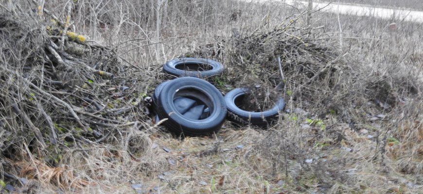 Kol vieni atliekas rūšiuoja, kiti jomis atsikrato miškuose