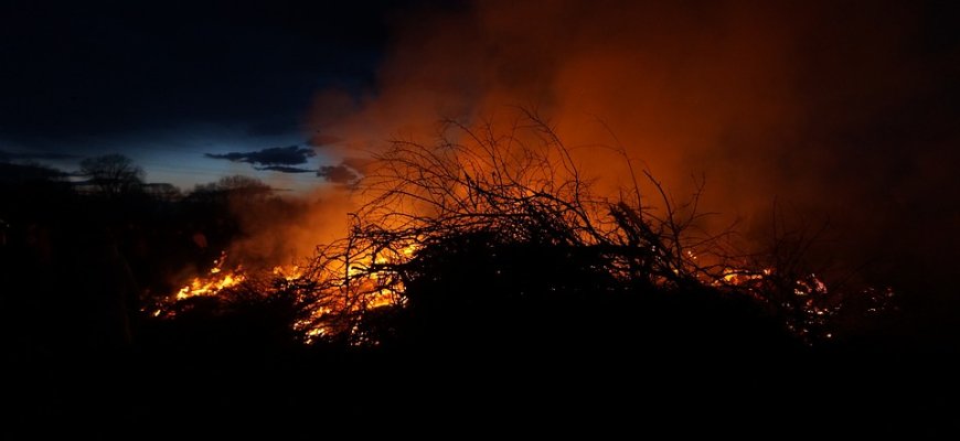 Jei šernai mokėtų kalbėti, paprašytų akių lašų ir respiratorių