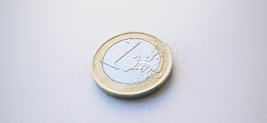 Politikų, pareigūnų, biudžetininkų algos bazinis dydis turėtų augti 1 euru