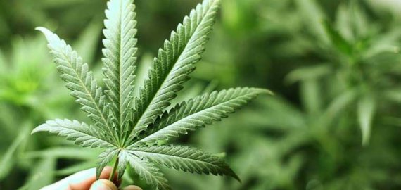 Sulaikytas asmuo turėjęs narkotinių medžiagų