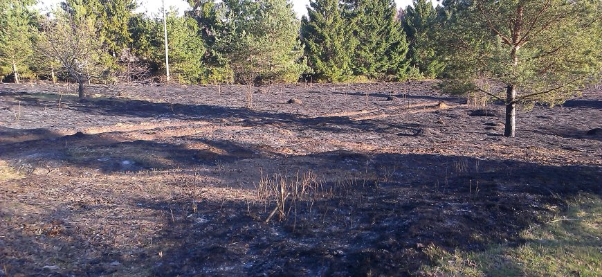 Šiukšlių, pievų, miškų deginimo sezonas prasideda