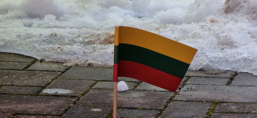 Vyriausybė – už siūlymą paskelbti Sausio 13-ąją nedarbo diena, bet rekomenduoja iš švenčių kalendoriaus išbraukti Vėlines