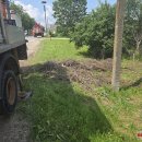 Juodupės g. nukrito gandralizdis - nutraukė elektros laidus (foto)