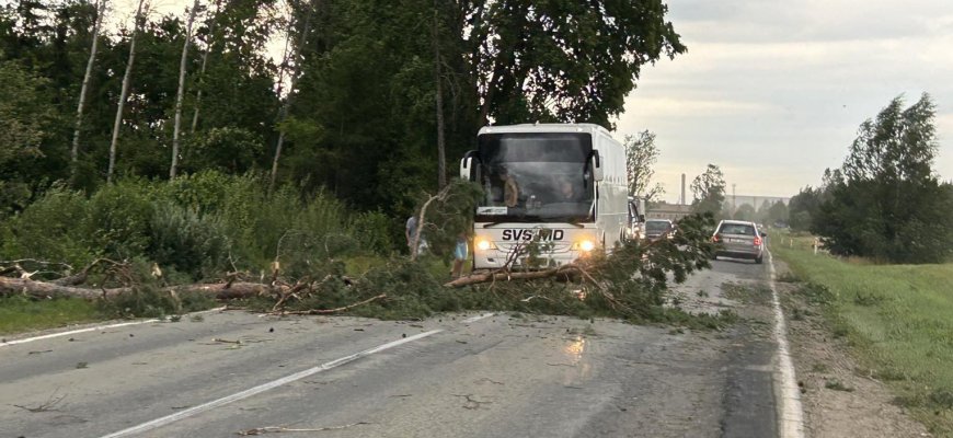 Audra neaplenkė ir Rokiškio rajono (foto+video)