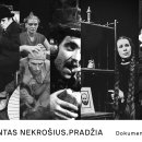 Profesionalių teatrų festivalis Rokiškyje „Teatro genas“ (spektaklių anotacijos)