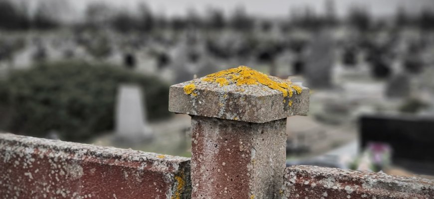 Lietuva pirma ES pagal užsikrėtimą COVID-19 ir antra pagal mirtis