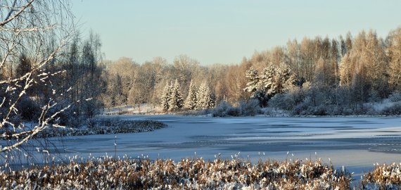 Sausio 1 d. įsigaliojo nauji žemės verčių žemėlapiai