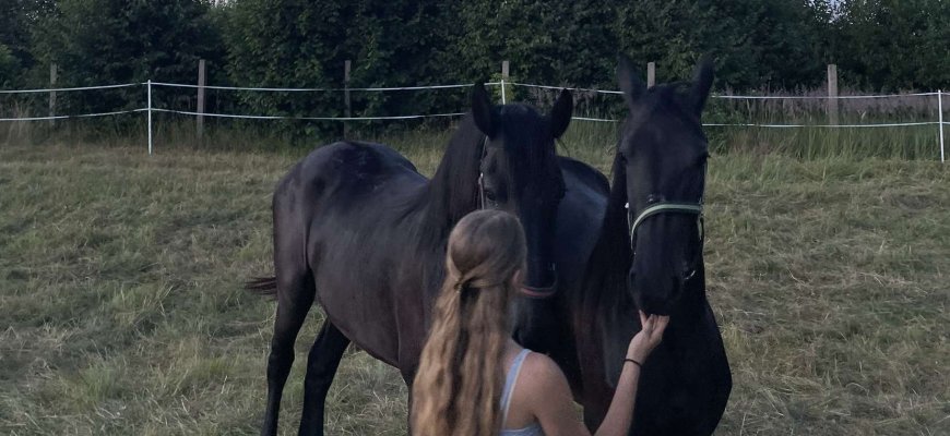 Keturkojams bėgliams – policijos pareigūnų priežiūra