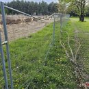 Rokiškio Liongino Šepkos parke – pavojingas incidentas (video+foto)