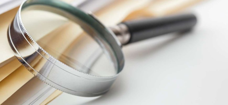 Faktai ir analizė. Ką veikia savivaldybių valdomos įmonės?