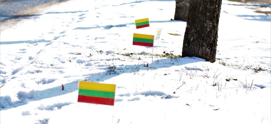 Seimas ketina įteisinti 1990–1991 metų laisvės gynėjo statusą