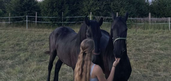 Keturkojams bėgliams – policijos pareigūnų priežiūra