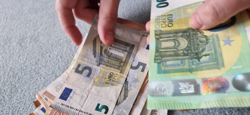 Seime – idėja daugiavaikiams našliams skirti valstybines pensijas
