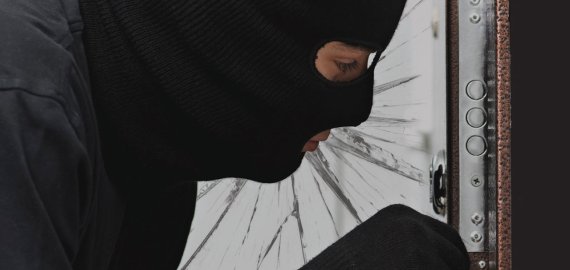 Populiariausia vagių vasaros