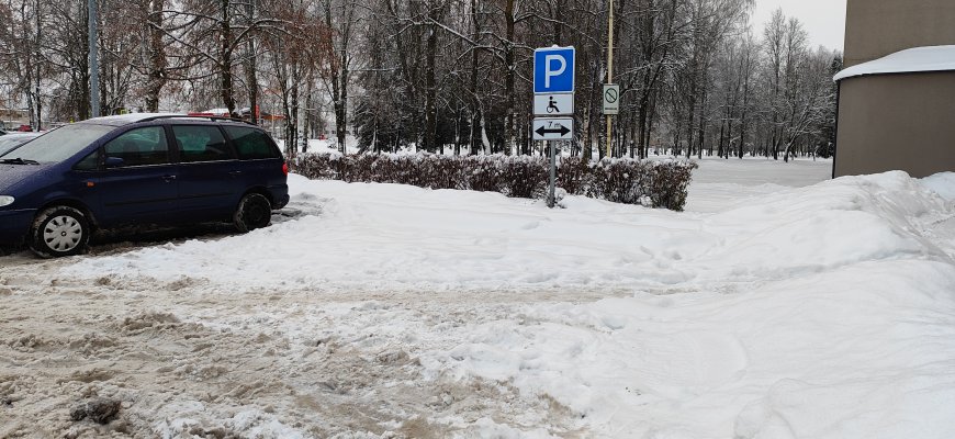 TAVO BĖDOS MANO: Ne visiems iškritęs sniegas teikia džiaugsmą