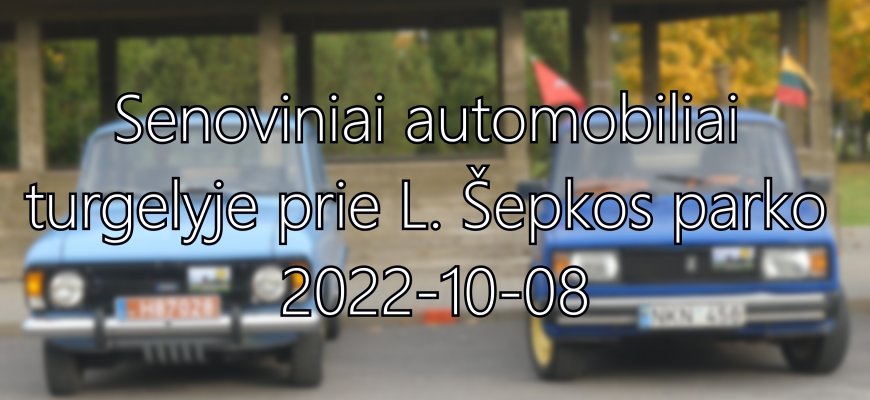 Senoviniai automobiliai turgelyje prie L. Šepkos parko (foto+video)