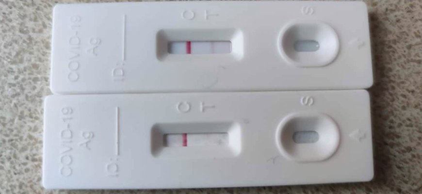 Svarbi informacija Rokiškio PASPC pacientams dėl Europinio COVID-19 pažymėjimo