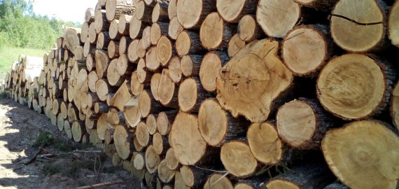 Pažadėjo panaikinti 5 proc. mokestį miškų savininkams