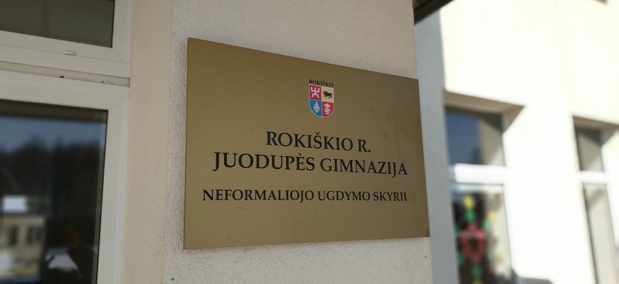 Jaunoji Rokiškio rajono Juodupės gimnazijos ambasadorė dalyvavo seminare #mepaLietuva